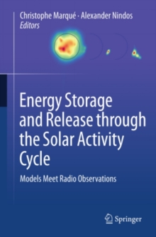 Energy Storage and Release through the Solar Activity Cycle : Models Meet Radio Observations