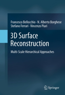 3D Surface Reconstruction : Multi-Scale Hierarchical Approaches