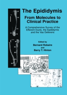 The Epididymis: From Molecules to Clinical Practice : A Comprehensive Survey of the Efferent Ducts, the Epididymis and the Vas Deferens