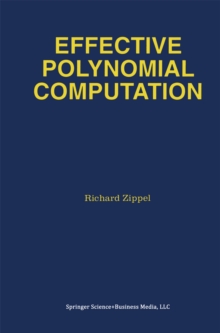 Effective Polynomial Computation