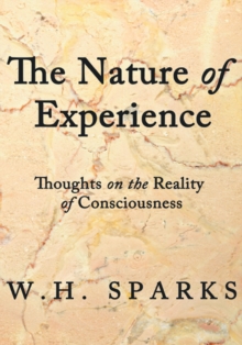 The Nature of Experience : Thoughts on the Reality of Consciousness