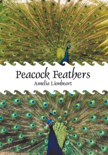 Peacock Feathers