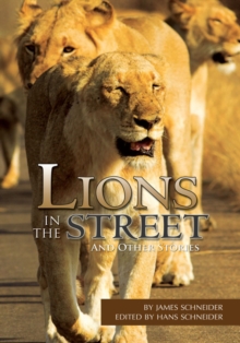 Lions in the Street : And Other Stories