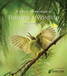 Visual Celebration of Borneo's Wildlife