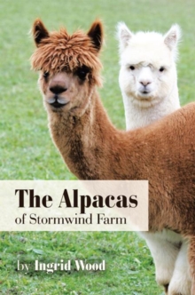 The Alpacas of Stormwind Farm