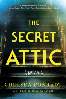 The Secret Attic : A novel