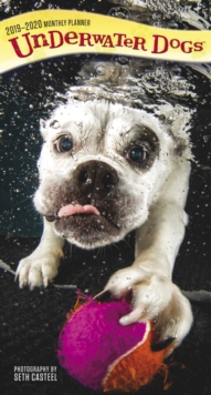 Underwater Dogs 2019 Pocket Planner, Diary Book Underwater Dogs 2019 Pocket Planner, Diary Book
