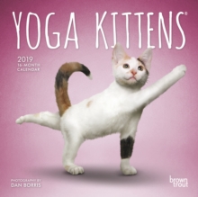 Yoga Kittens 2019 Mini Wall Calendar, Calendar Book Yoga Kittens 2019 Mini Wall Calendar, Calendar Book