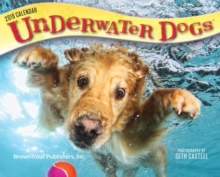 Underwater Dogs 2019 Day-to-Day Calendar, Calendar Book Underwater Dogs 2019 Day-to-Day Calendar, Calendar Book
