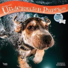 Underwater Puppies 2019 Square Wall Calendar, Calendar Book Underwater Puppies 2019 Square Wall Calendar, Calendar Book