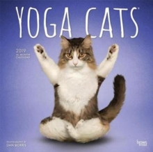 Yoga Cats 2019 Square Wall Calendar, Calendar Book Yoga Cats 2019 Square Wall Calendar, Calendar Book