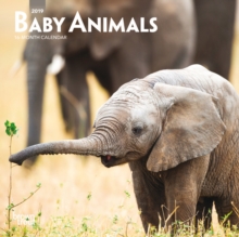 Baby Animals 2019 Mini Wall Calendar, Calendar Book Baby Animals 2019 Mini Wall Calendar, Calendar Book
