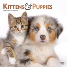 Kittens & Puppies 2019 Square Wall Calendar, Calendar Book Kittens & Puppies 2019 Square Wall Calendar, Calendar Book