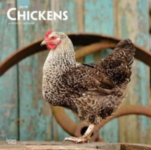 Chickens 2019 Square Wall Calendar, Calendar Book Chickens 2019 Square Wall Calendar, Calendar Book