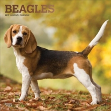 Beagles 2019 Square Wall Calendar, Calendar Book Beagles 2019 Square Wall Calendar, Calendar Book