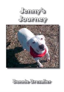 Jenny's Journey