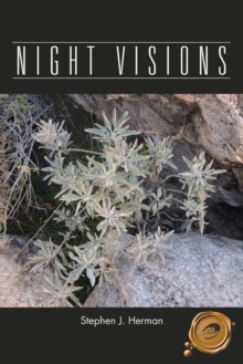 Night Visions