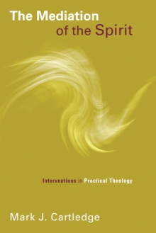 The Mediation of the Spirit : Interventions in Practical Theology