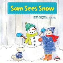 Sam Sees Snow