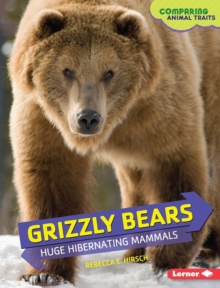 Grizzly Bears : Huge Hibernating Mammals