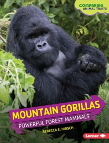 Mountain Gorillas : Powerful Forest Mammals