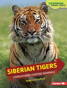 Siberian Tigers : Camouflaged Hunting Mammals