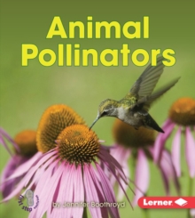 Animal Pollinators