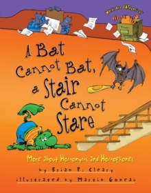 A Bat Cannot Bat, a Stair Cannot Stare : More about Homonyms and Homophones