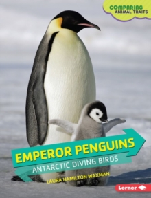 Emperor Penguins : Antarctic Diving Birds