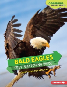 Bald Eagles : Prey-Snatching Birds