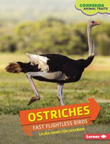 Ostriches : Fast Flightless Birds