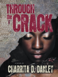 Through the Crack : A Novel