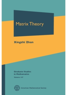 Matrix Theory