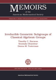 Irreducible Geometric Subgroups of Classical Algebraic Groups