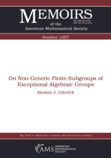 On Non-Generic Finite Subgroups of Exceptional Algebraic Groups