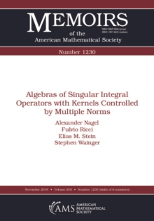 Algebras of Singular Integral Operators with Kernels Controlled by Multiple Norms