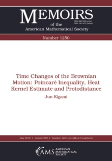 Time Changes of the Brownian Motion : Poincare Inequality, Heat Kernel Estimate and Protodistance