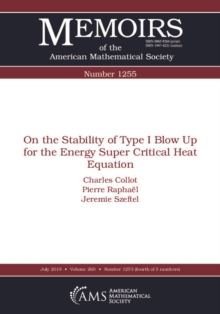 On the Stability of Type I Blow Up for the Energy Super Critical Heat Equation