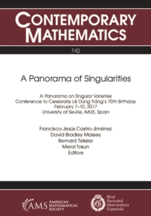 A Panorama of Singularities