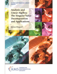 Analysis and Linear Algebra : The Singular Value Decomposition and Applications