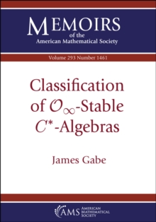 Classification of $\mathcal {O}_\infty $-Stable $C^*$-Algebras