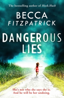 Dangerous Lies, Hardback Book Dangerous Lies, Hardback Book