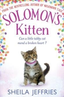 Solomon's Kitten, Hardback Book Solomon's Kitten, Hardback Book