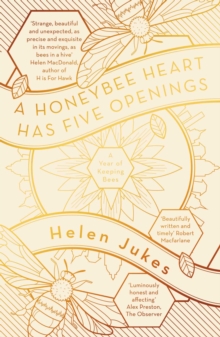 Scribner Uk Honeybee Heart Has Five Openings