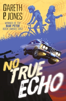No True Echo, Paperback Book No True Echo, Paperback Book