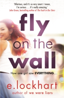 Fly on the Wall : From the author of the unforgettable bestseller, We Were Liars