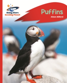 Reading Planet - Puffins - Red A: Rocket Phonics