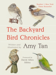 The Backyard Bird Chronicles