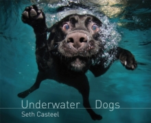 Underwater Dogs, Paperback Book Underwater Dogs, Paperback Book