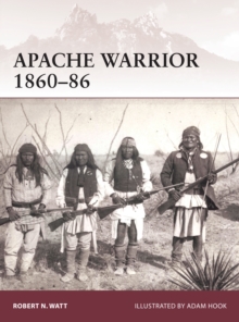 Apache Warrior 186086